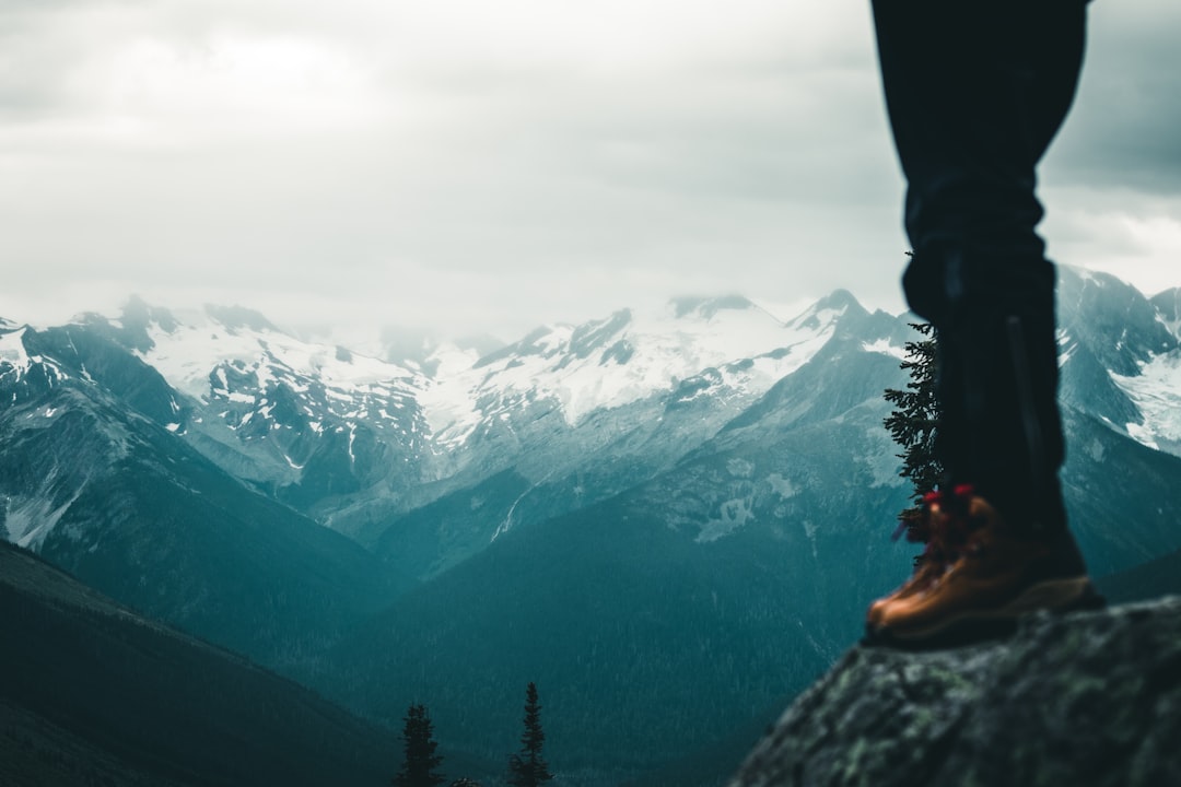 photo 1600100316331 5c1b7a596029cropentropycstinysrgbfitmaxfmjpgixidM3wxNDA1NTd8MHwxfHNlYXJjaHw0M3x8dHJla2tpbmclMjBhZGlkYXMlMjBjb21iYXQlMjBib290c3xlbnwxfDB8fHwxNzU2NTY1Njg2fDAixlibrb 4.1.0q80w1080